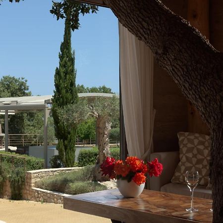 Stolidi Mou Treehouse Villa Atsipopoulo Ngoại thất bức ảnh